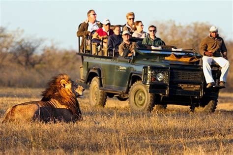 south africa hiking and safari package travel with rei