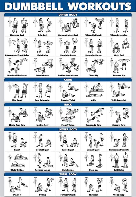 Mark Dumbbell Workout Chart Exercise Poster Perfect To Build Etsy Dumbbell Workout Free