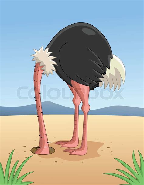 Ostrich Hiding Head In Sand Stock Vector Colourbox