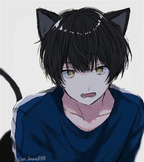 Pin By Pomelo On M Anime Cat Boy Anime Drawings Boy Anime Neko