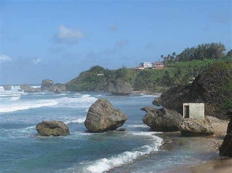 barbados surfing beach bathsheba local bajan