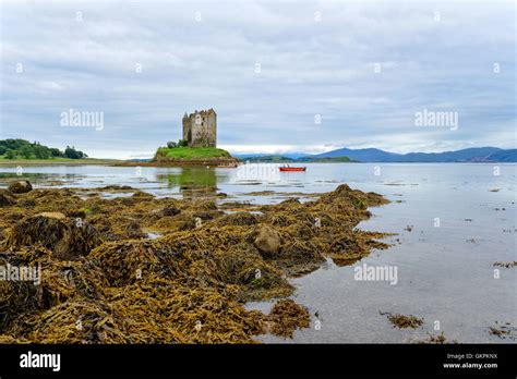 Castle Stalker On Loch Laich In Argyll In Scotland Stock Photo Alamy