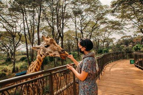 20 Amazing Things To Do In Nairobi Kenya For An Unforgettable Trip