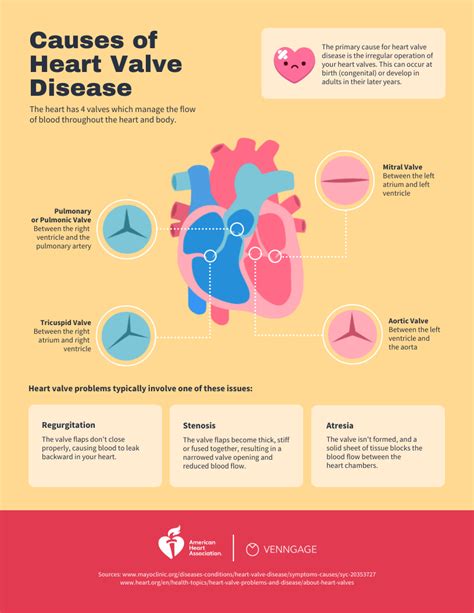 Heart Valve Disease Infographic Venngage