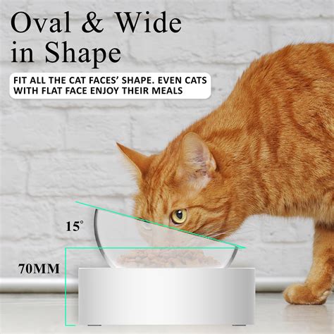 So this is my skincare product, nano white fresh that ive been used to fix my oily skin. PETKIT FRESH NANO 15 Degree Adjustable Feeding Bowl Double ...