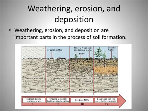 Soil Formation Begins With The Weathering Of Driverlayer Search Engine