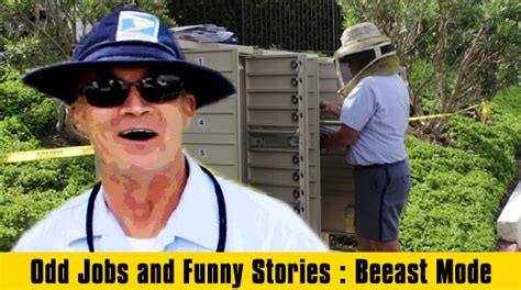 Bee Removal Odd Jobs And Funny Stories Bee Best Bee Removal