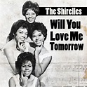 BILLBOARD #1 HITS: #44 : “WILL YOU LOVE ME TOMORROW”- THE SHIRELLES ...