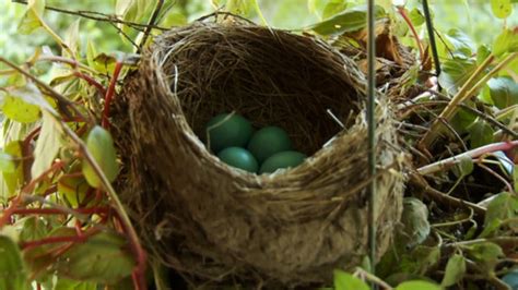 The Empty Nest Syndrome Is Not Just An Emotional Response Huffpost Life