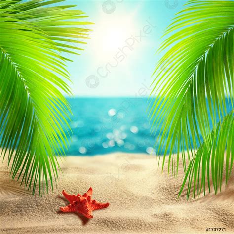 Beautiful Tropical Beach Background Summer Landscape With Coco Palms On