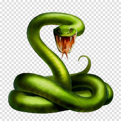 Vegetable Cartoon Clipart Snakes Illustration Drawing