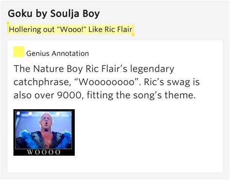 Hollering Out Wooo Like Ric Flair Goku Lyrics Meaning