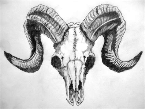 Ram Skull Skull Art Drawing Deer Skull Tattoos Ram Skull