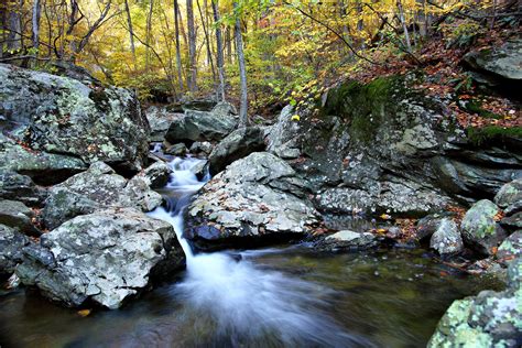 Autumn Forest Creek Waterfalls Creeks And Streams Free Nature Pictures