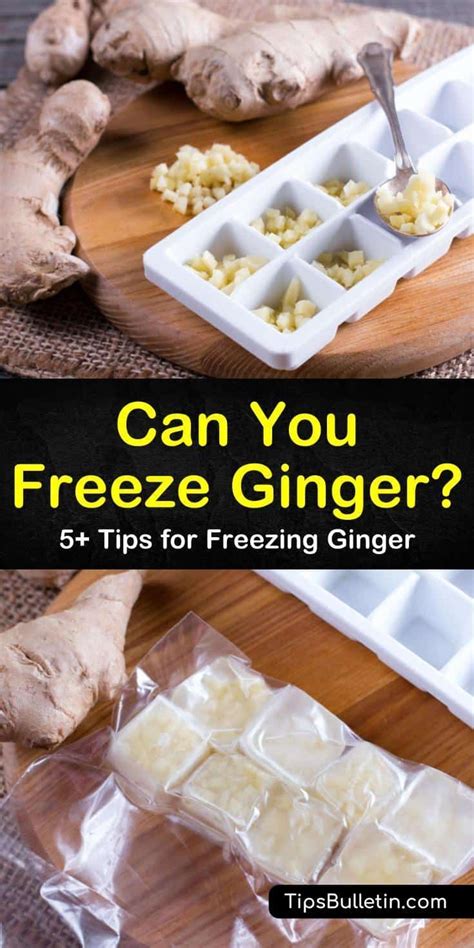 Can You Freeze Ginger 5 Tips For Freezing Ginger Canning Recipes