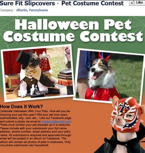 Barbaras Beat Win A Sure Fit Pet Collection At The Halloween Pet