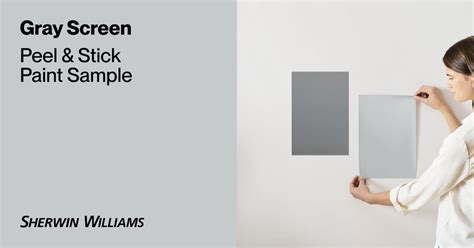Gray Screen Paint Sample By Sherwin Williams 7071 Peel And Stick