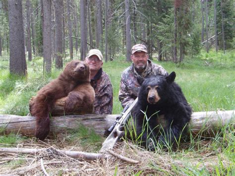Idaho Bear Hunting Idaho Bear Hunts