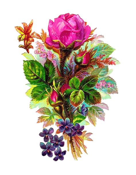 Antique Images Vintage Digital Flower Clip Art Pink Rose Bouquet Download