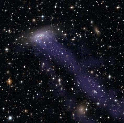 Chandra Spots Runaway Galaxy Nasa Chandra 030414 Flickr Photo