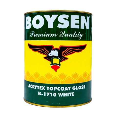 Boysen Acrytex Paint Home Style Depot