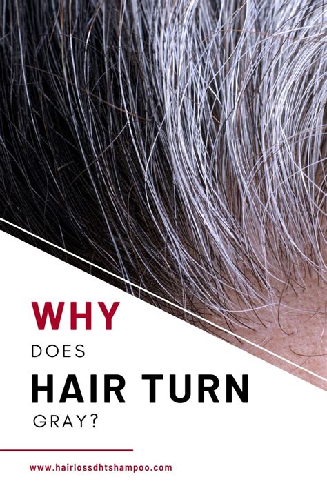 Why Does Hair Turn Gray How To Grow Natural Hair Transition To Gray