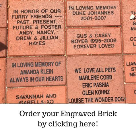 Stray Rescue Of St Louis Memorial Bricks And Benches