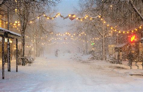 Christmas Lights And Pretty Image 125393 On