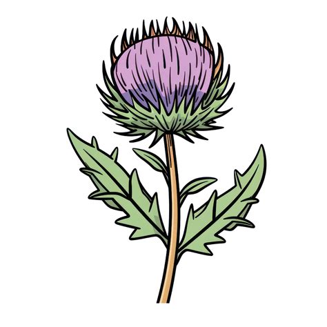 Blooming Thistle Flower Ai Generated 26793316 Png