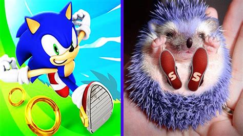 Sonic Characters In Real Life Youtube