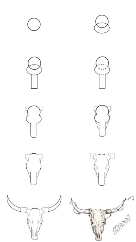How To Draw A Cow Skull Step By Step At Drawing Tutorials