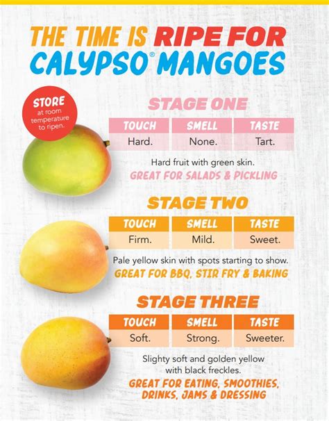 How To Know When Your Calypso Mango Is Ripe Perfection Fresh Australia