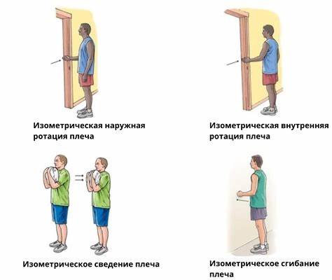 Диета при первичном Комплекс упражнений при вывихе плеча Комплекс упражнений при вывихе плеча Диета при первичном