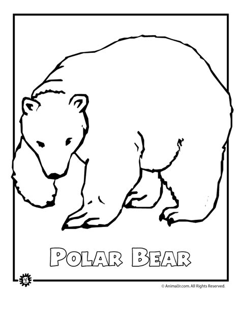 Polar Bear Bear Coloring Pages Polar Bear Coloring Page Polar Bear