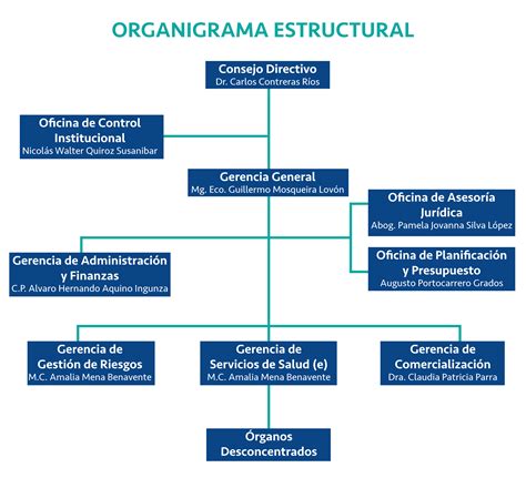 Organigrama Funcional O Estructural Images And Photos Finder