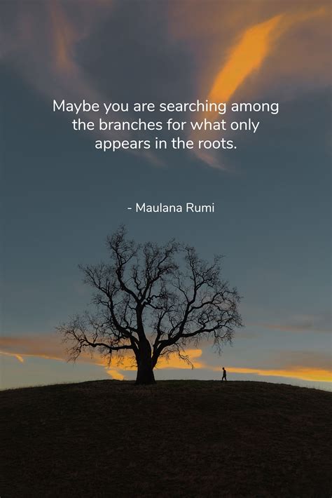 Rumi Wisdom Quotes in 2020 | Rumi inspirational quotes, Love wisdom quotes, Wisdom quotes