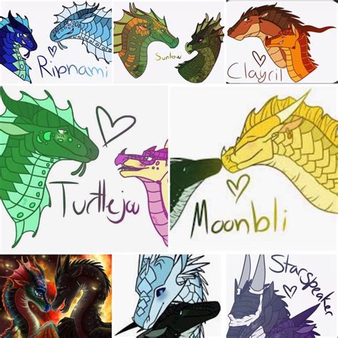 Wof Ships Combined Wings Of Fire Wings Of Fire Dragons Dragon