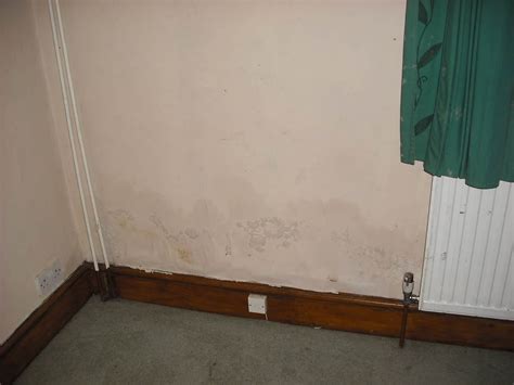 What Is Damp What Causes Damp Problems In Houses