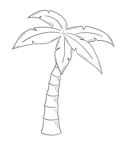 Sketch Of The Palm Tree Royalty Free Vector Image Tree Drawings