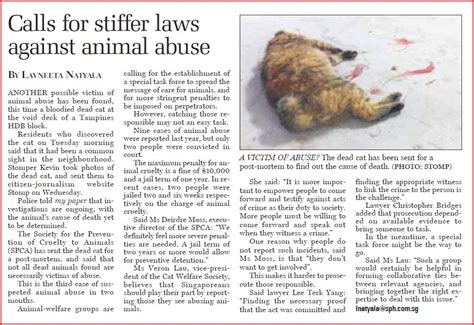 Singapore Community Cats My Paper Calls For Stiffer Laws Against