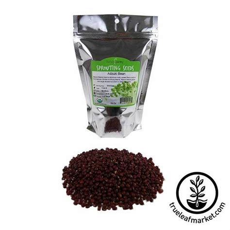Adzuki Bean Sprouting Seed Organic 1 Lb 30 Grams Of Protein Rich In