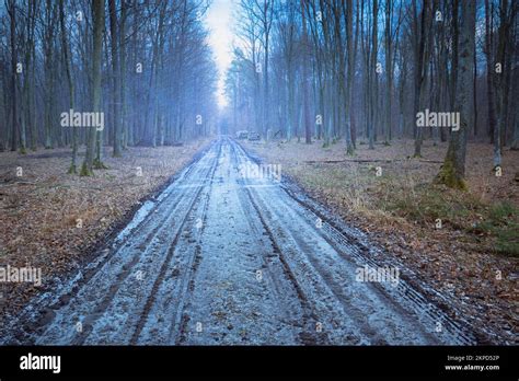 Frozen Dirt Road Through A Cold Forest Eastern Poland Stock Photo Alamy