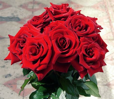 Free Photo Bouquet Of Flowers Red Roses Free Image On Pixabay 261231