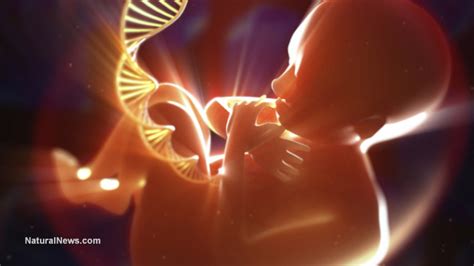 Genetically Modified Children Baby Born With Dna From Three Different