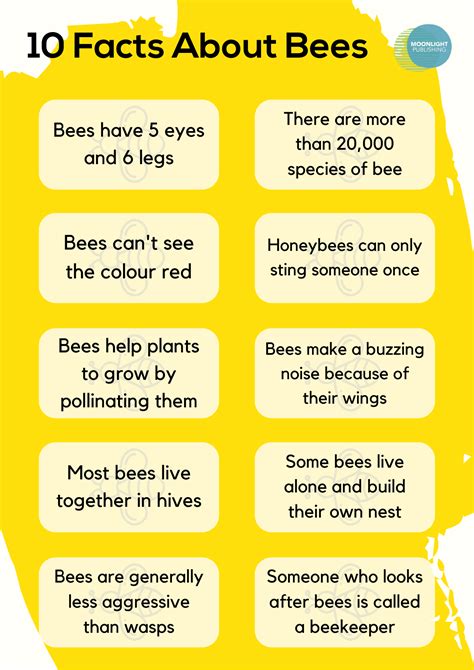 10 Fascinating Bee Facts For Kids Free Pdf Moonlight Publishing