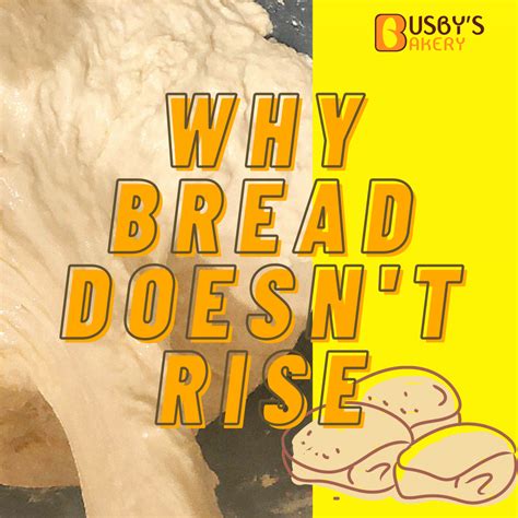 13 reasons why my bread didn t rise let s fix it fast