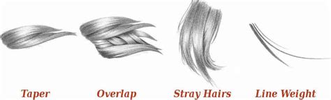 How To Draw Realistic Hair Easiest Way Rapidfireart