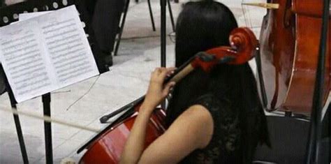 Pin On Cello