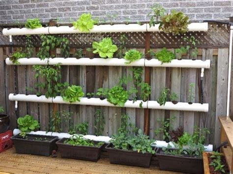 Brilliant Ideas Vertical Garden And Planting Using Pipes 45 Vertical