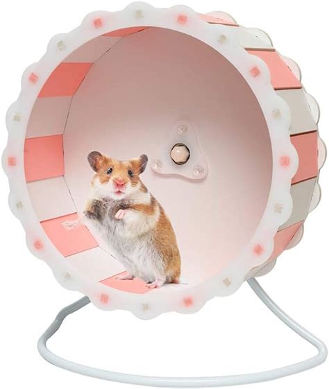Petzilla Quiet Hamster Exercise Wheel Silent Spinner Made Of Wood Ebay